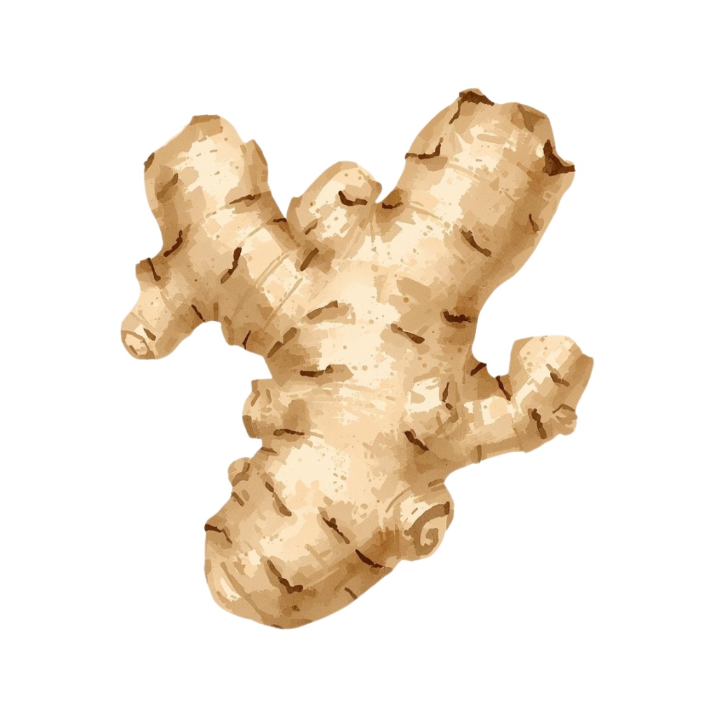 アンティーク夏野菜 水彩クリップアートコレクション(全12種類)