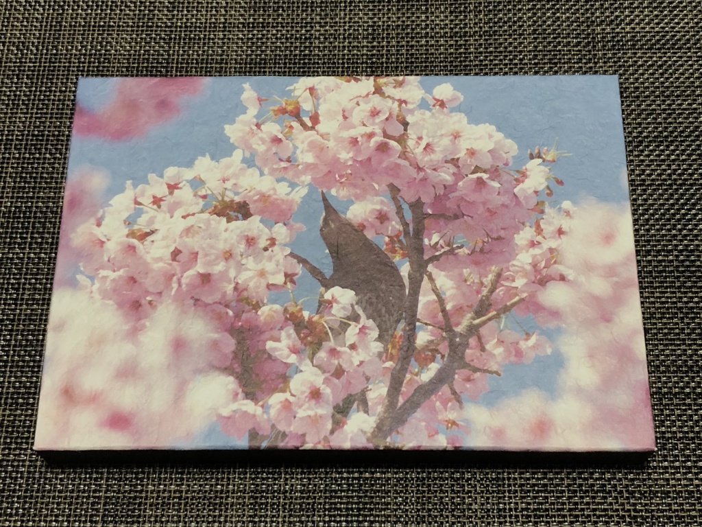 和紙パネル(ヒヨドリ)