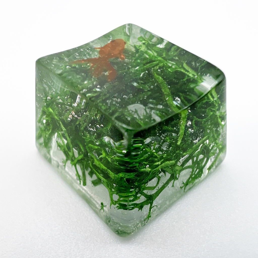 【キーキャップ】水草と金魚