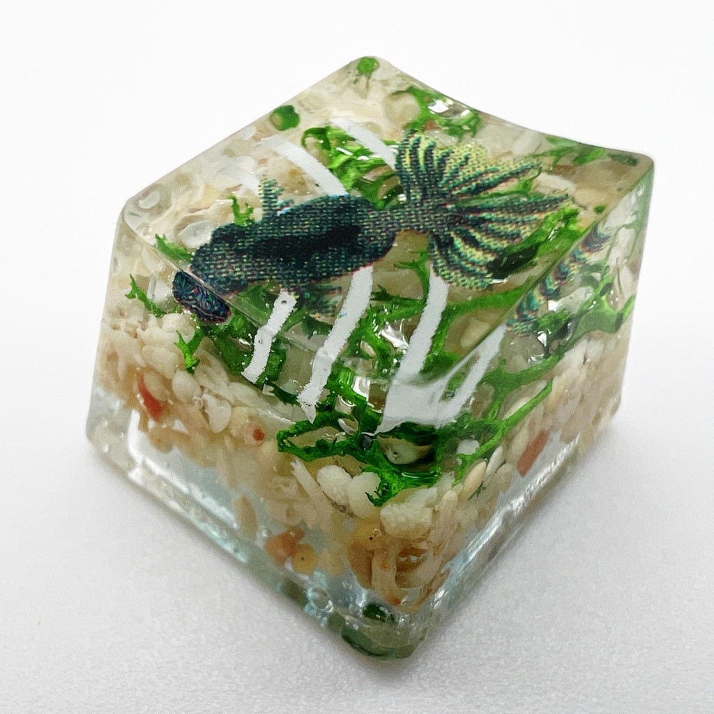 【キーキャップ】黒金魚と水草