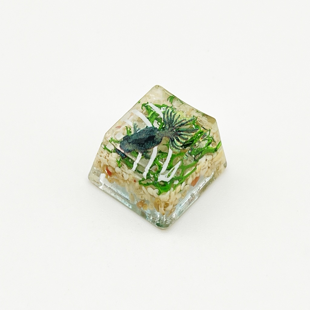 【キーキャップ】黒金魚と水草