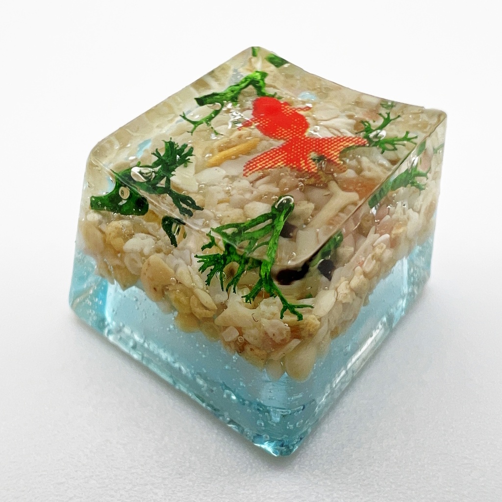 【キーキャップ】赤金魚と水草