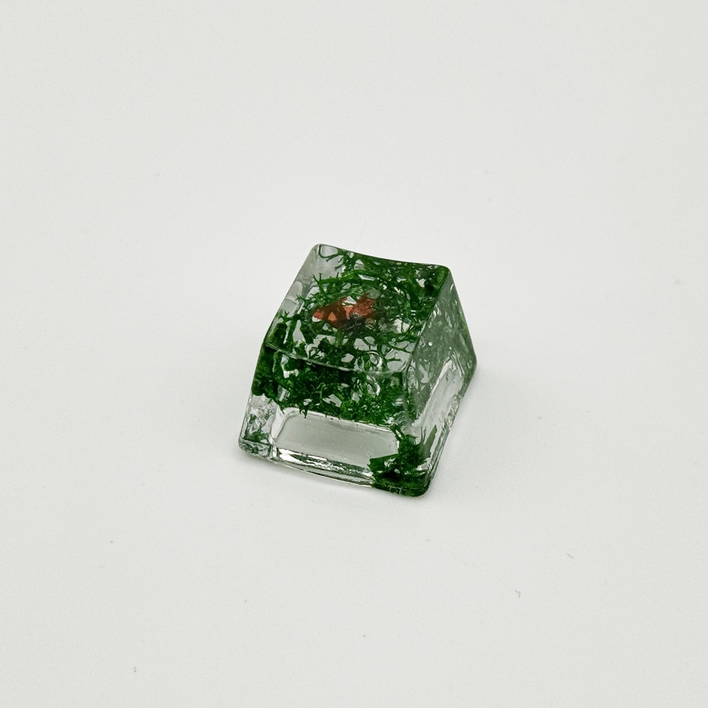 【キーキャップ】金魚と水草_02