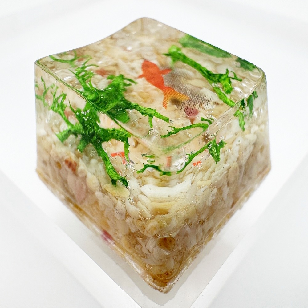 【キーキャップ/Keycap】ゆらめき金魚/Shimmering Goldfish