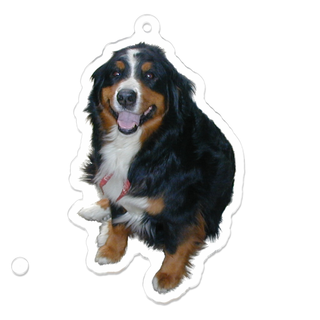 キーホルダーバーニーズ