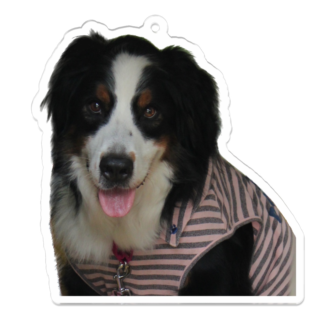 バーニーズアクリルキーホルダー