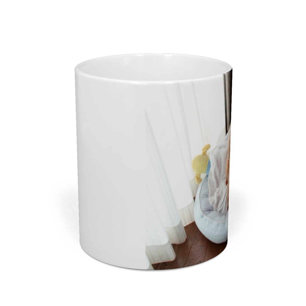 もこちゃんマグカップ2