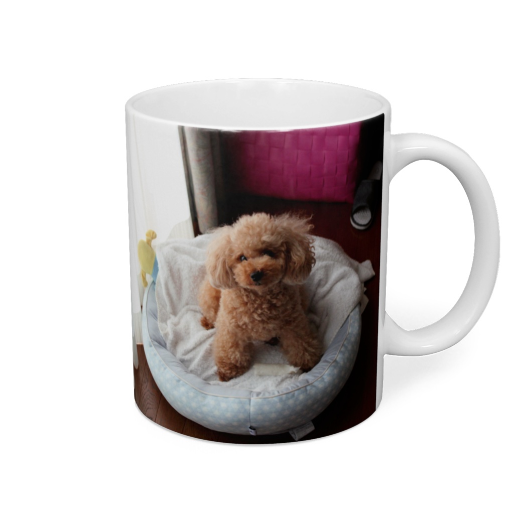 もこちゃんマグカップ2