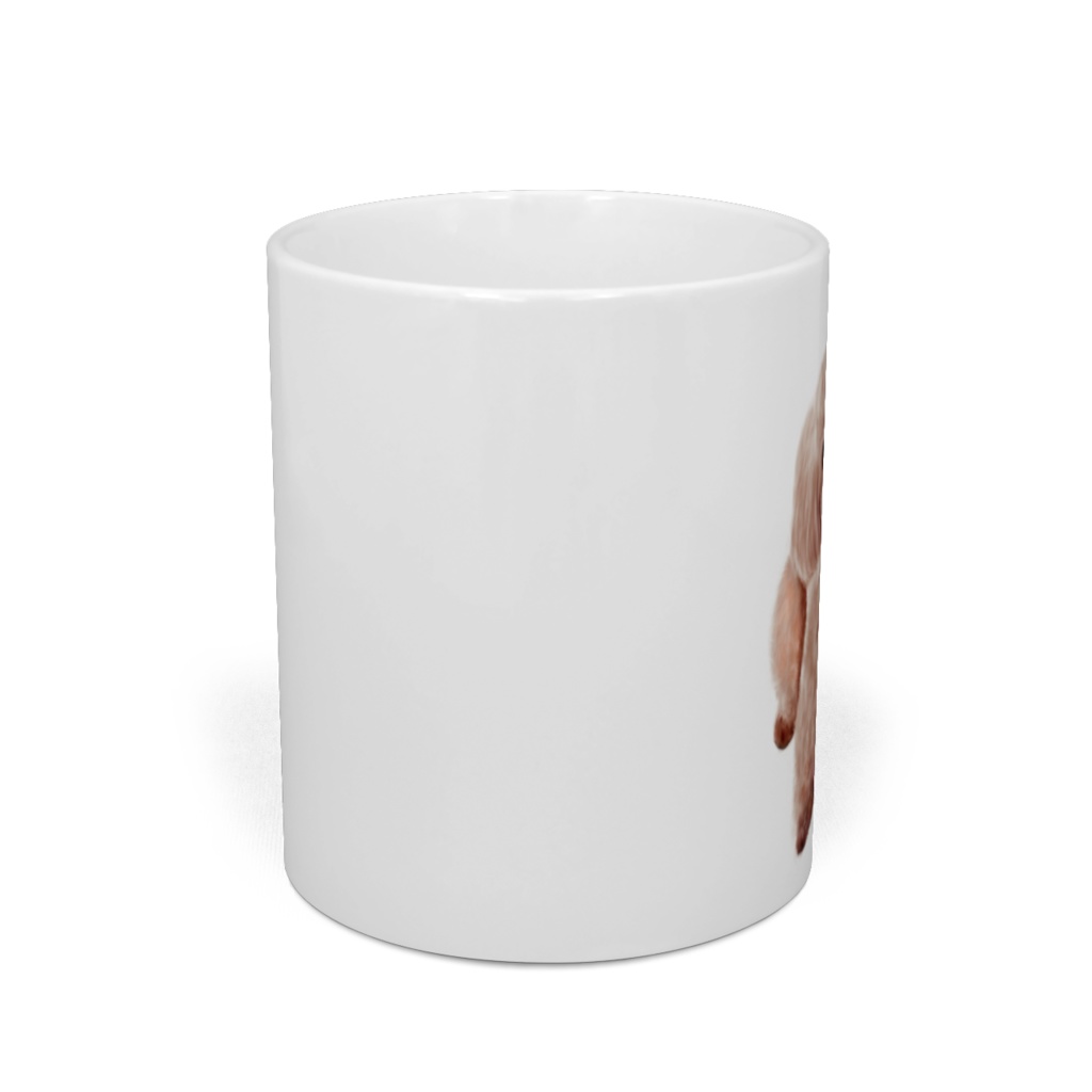 もこちゃんマグカップ