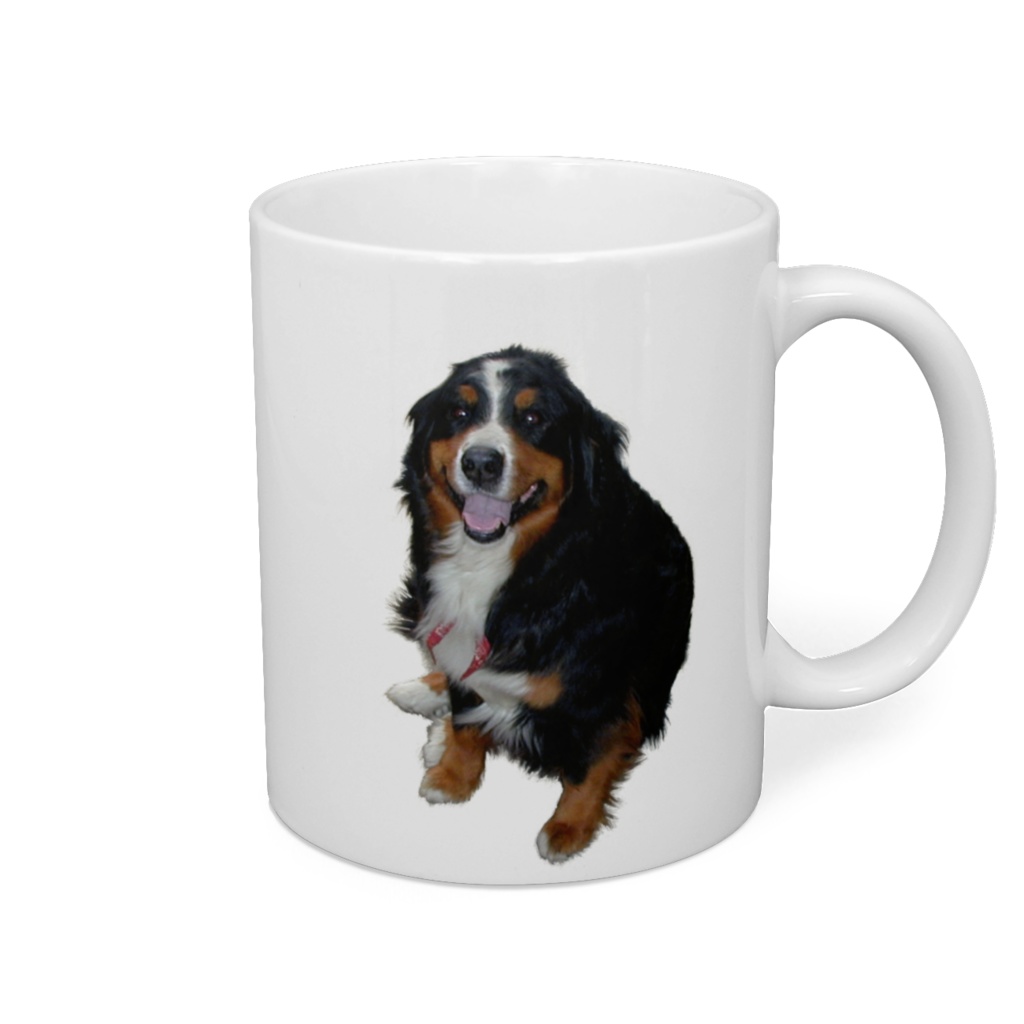 バーニーズマグカップ