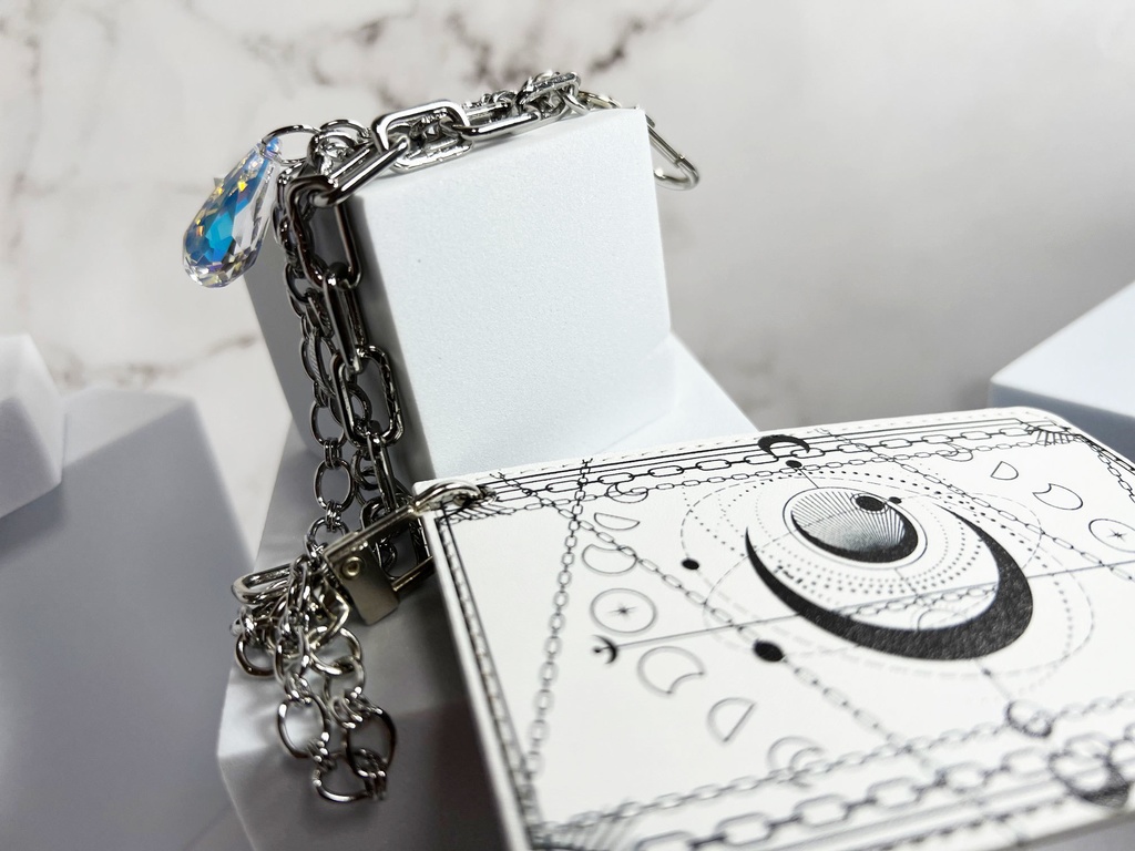 C世界のパスケース