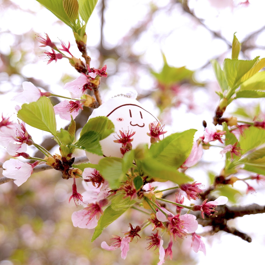 しろまるクッションストラップ