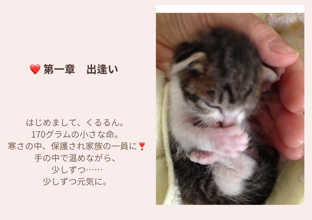 くるるん10周年フォトブック ― 170gの奇跡 ―