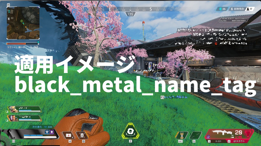 【配信用】メタルフレーム風APEX用オーバーレイ(S19まで)