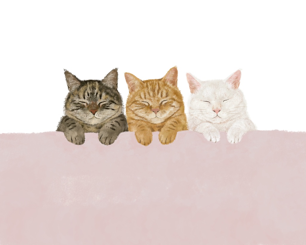 寝る猫さん