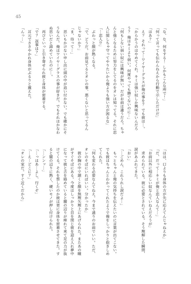 片翼の航跡 かたよくのこうせき