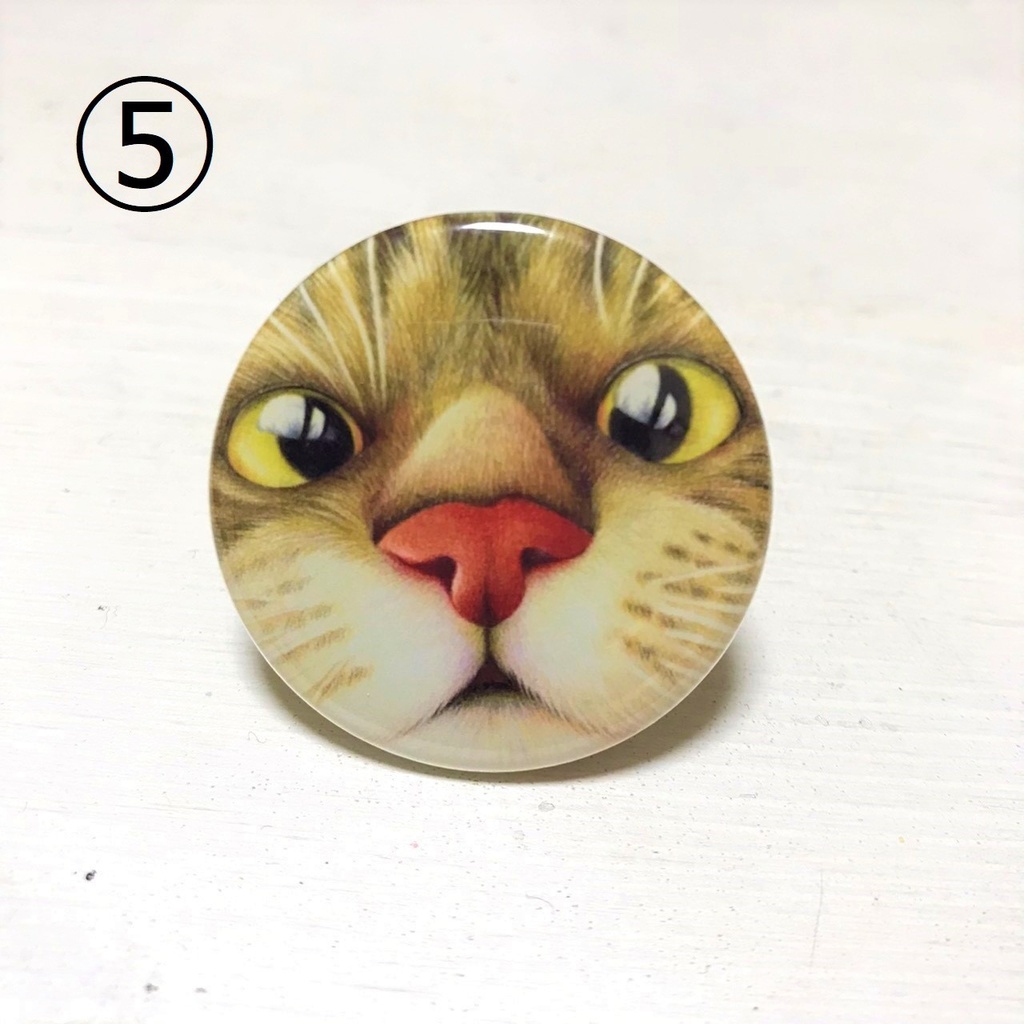 ネコと龍の缶バッジ 色鉛筆画