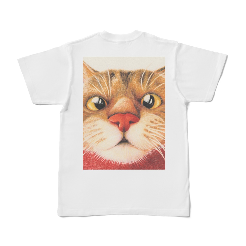 色鉛筆画 ねこTシャツ ゾーイ