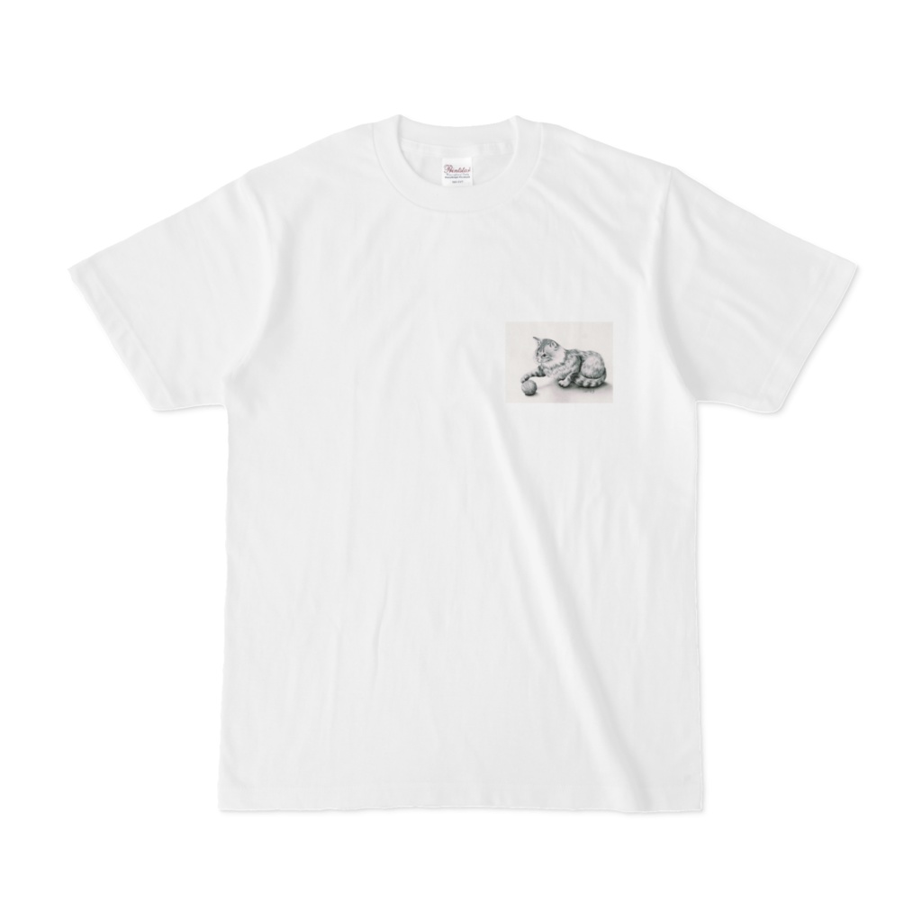 色鉛筆画 ねこTシャツ ゾーイ