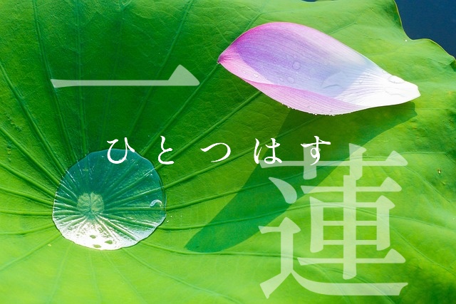 一蓮　―ひとつはす―