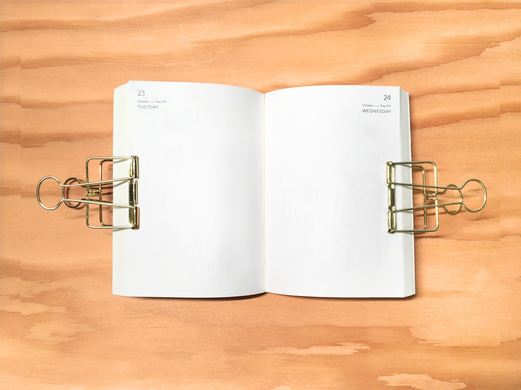 muji diary - 2019