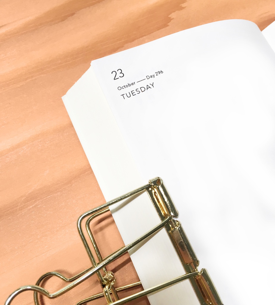 muji diary - 2022