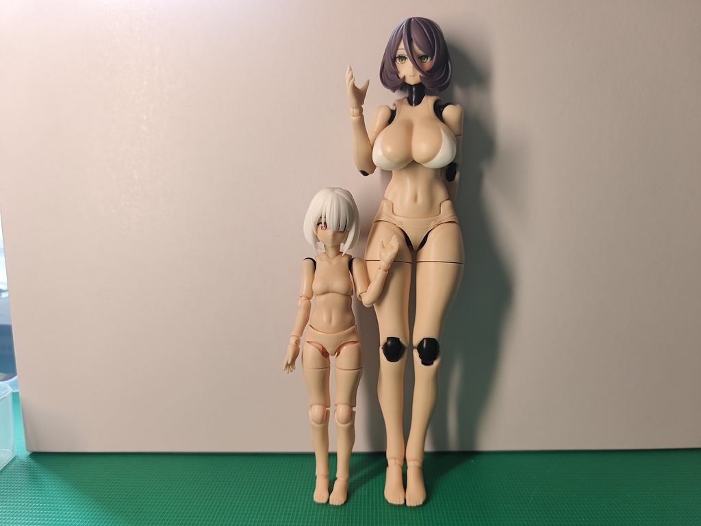 【XP肉改】UNION素体・1/12・幼女素体・お姉素体