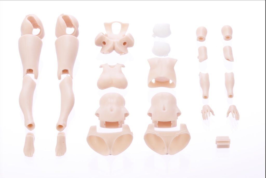 【XP肉改】UNION素体・1/12・幼女素体・お姉素体