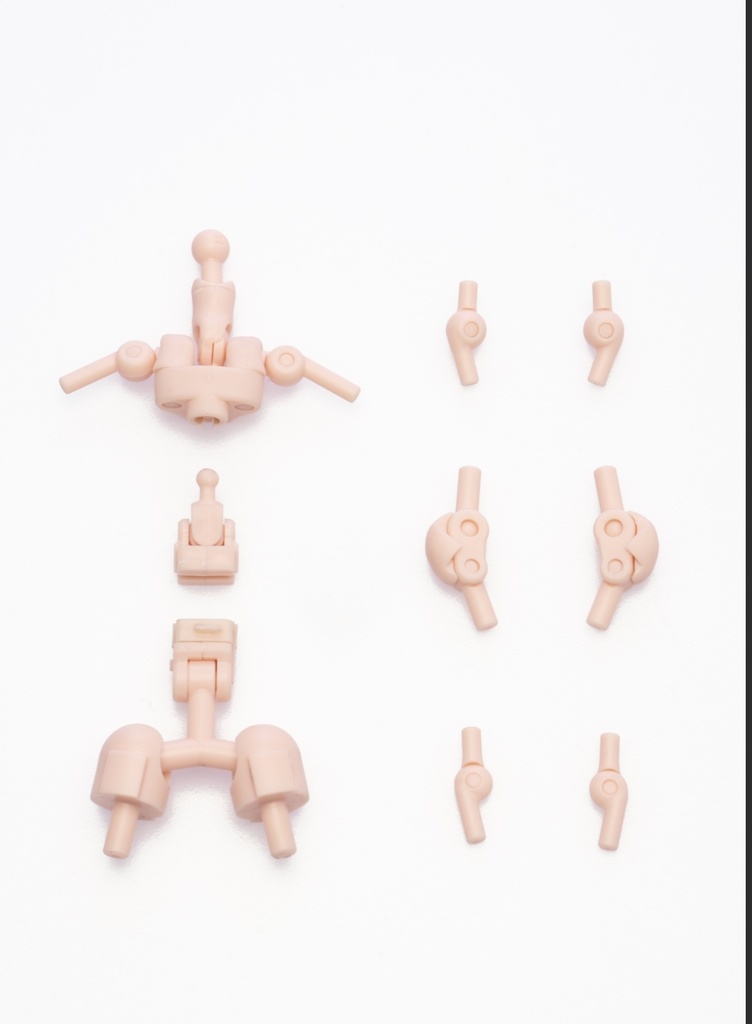 【XP肉改】UNION素体・1/12・幼女素体・お姉素体