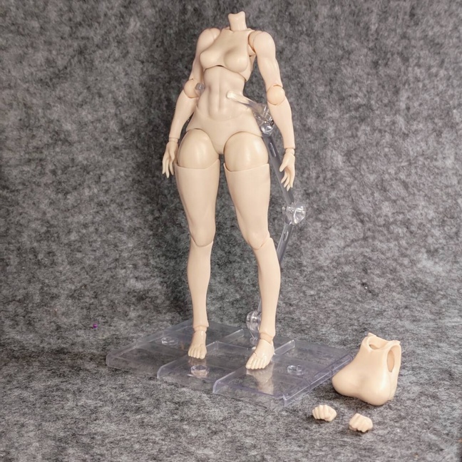 筋肉！素体2.0•1/12