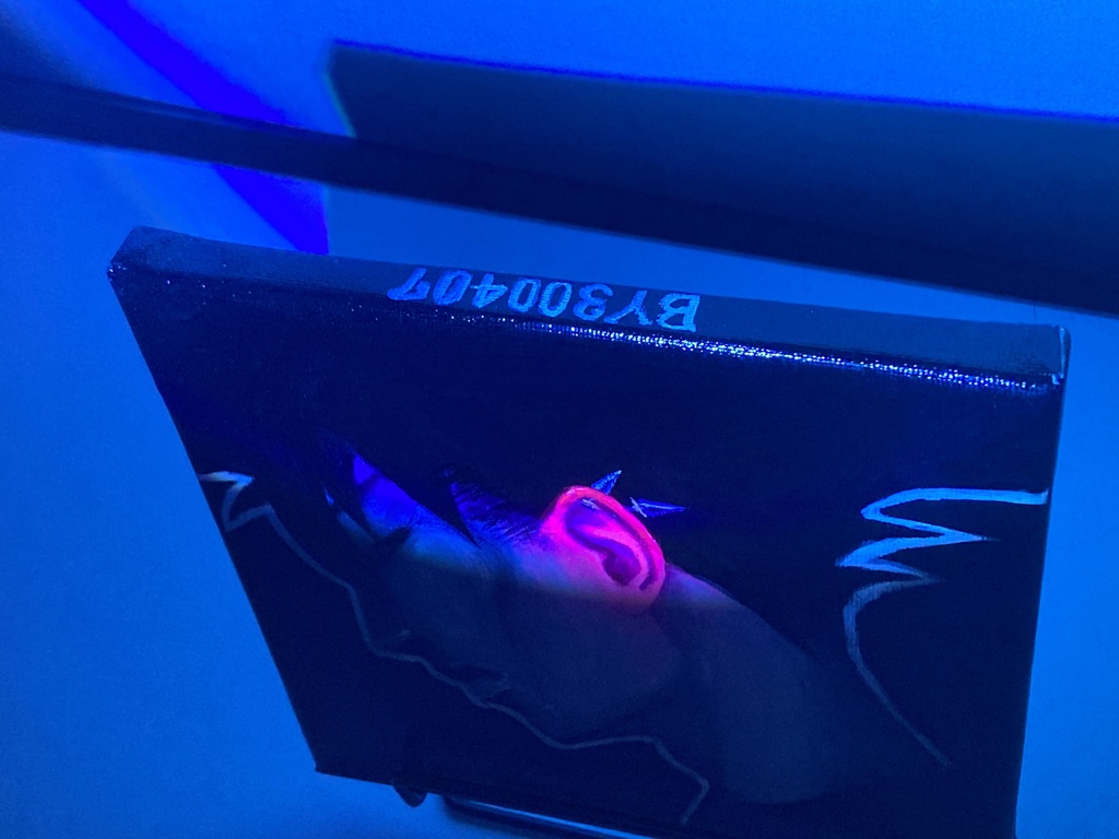 シジューイ化膿キャンバス