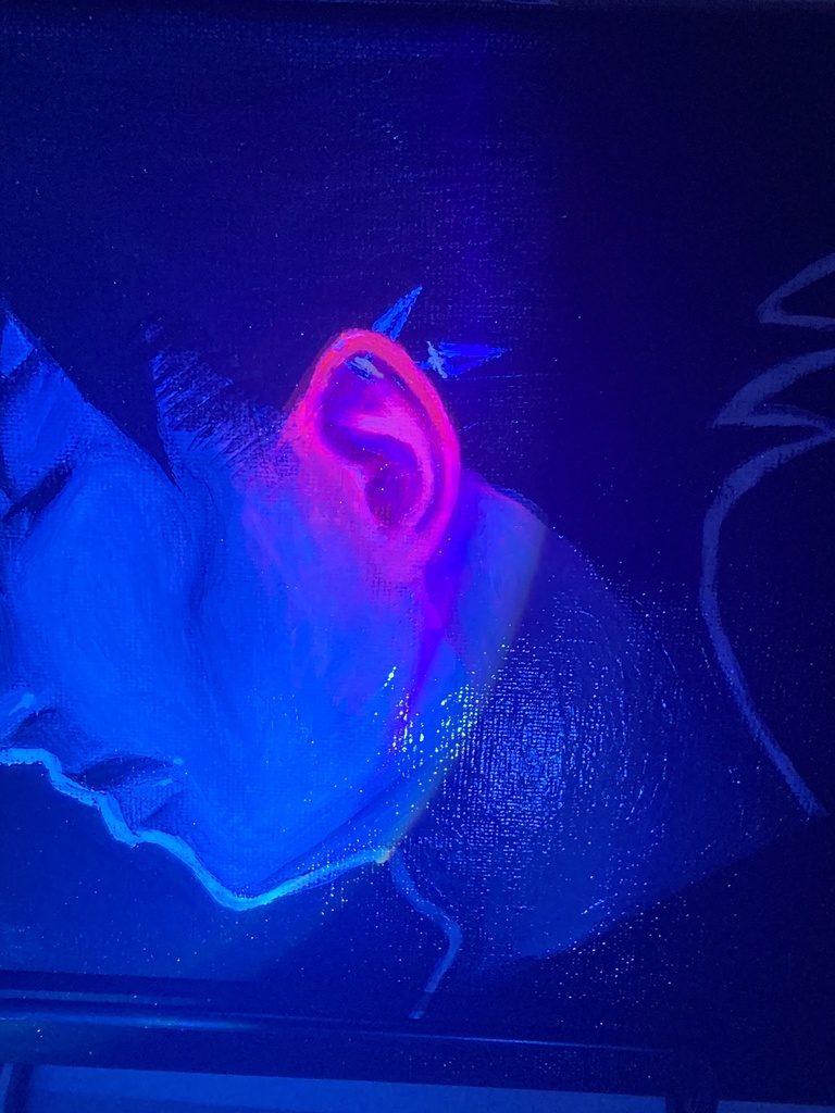 シジューイ化膿キャンバス