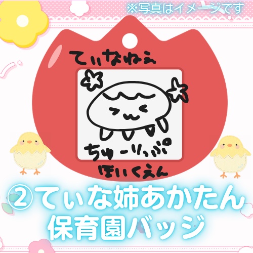【残り1点】てぃな姉のあかたん保育園セット📛🖍