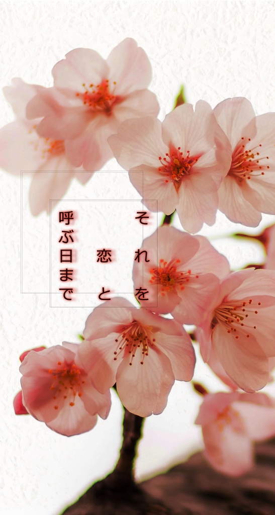 それを恋と呼ぶ日まで