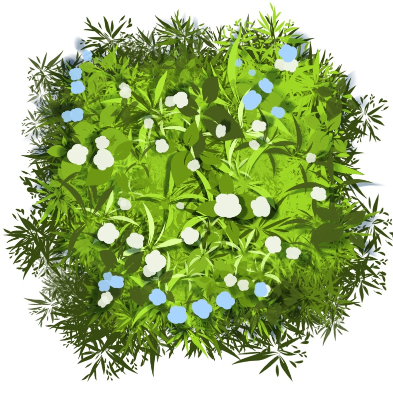 【Procreate】草生やすブラシ【無料版あり】