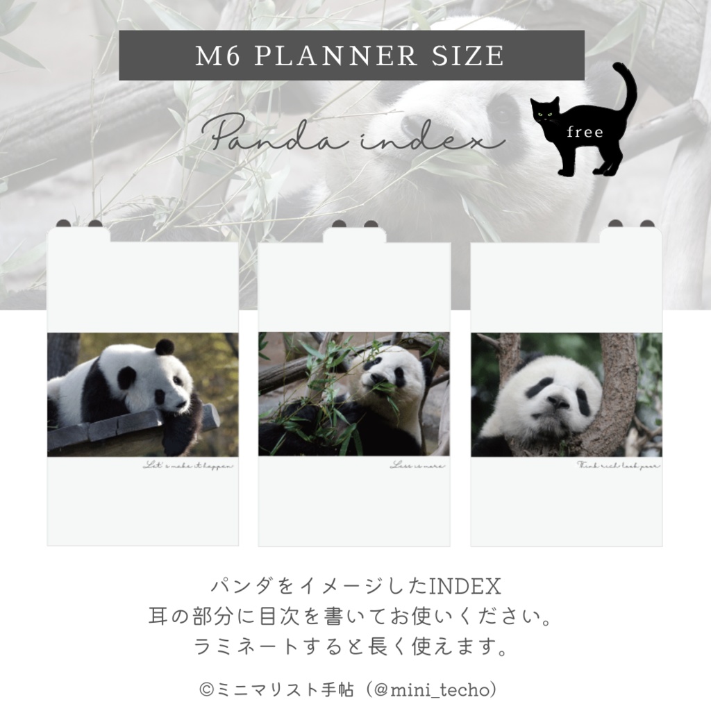 M6_panda_index