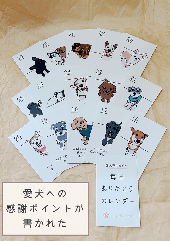 愛犬家のための 毎日ありがとうカレンダー【カレンダー立てなし】
