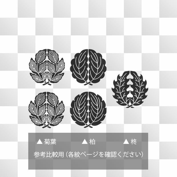 菊紋 (きく) 日本の実用家紋 ZIP (AI, PNG, PSD) - 家紋藝術 菊紋 (きく) 日本の実用家紋 ZIP (AI, PNG, PSD) - 家紋藝術