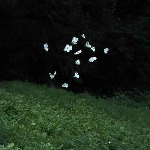 Cxdy - 2025 Stash Kit (Drum Kit)