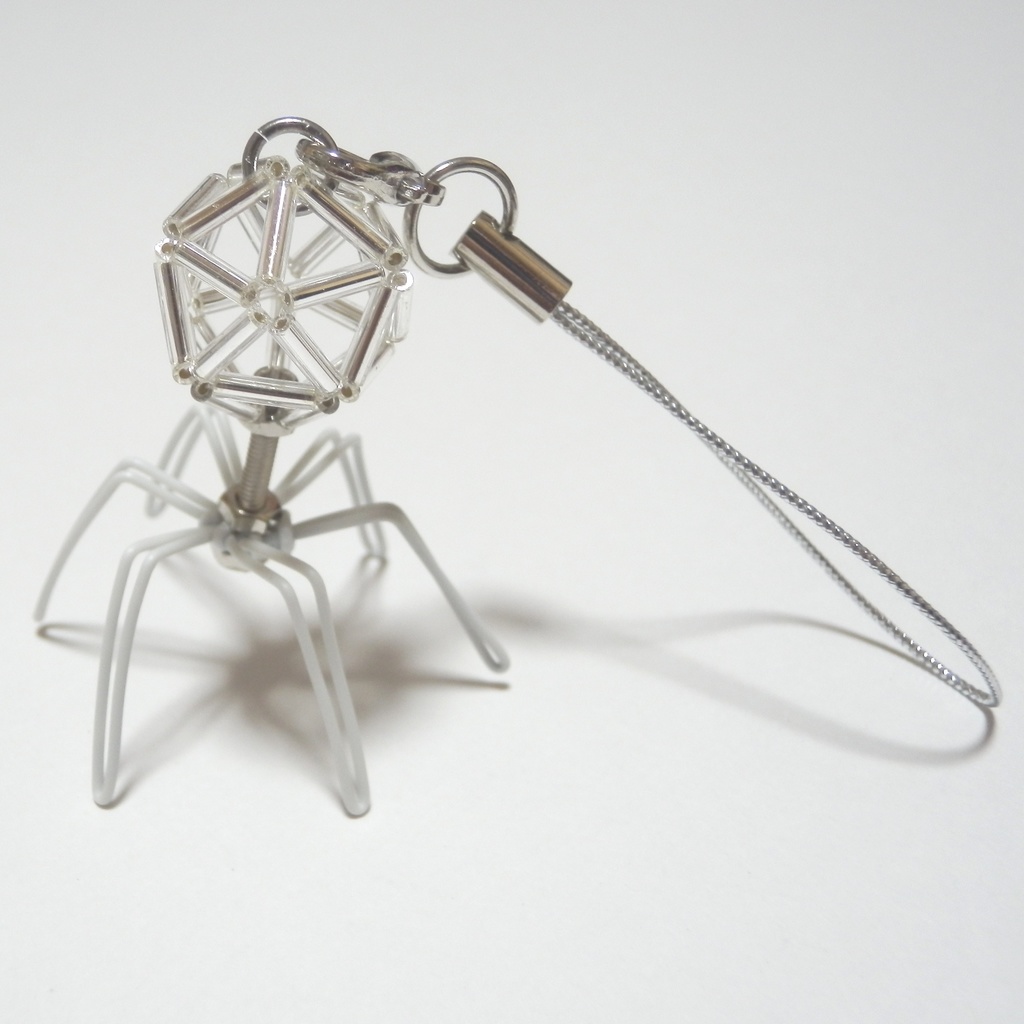 【再販10】ファージストラップ(小)