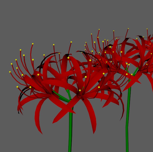 [LOD] 曼珠沙華 - Red spider lily 