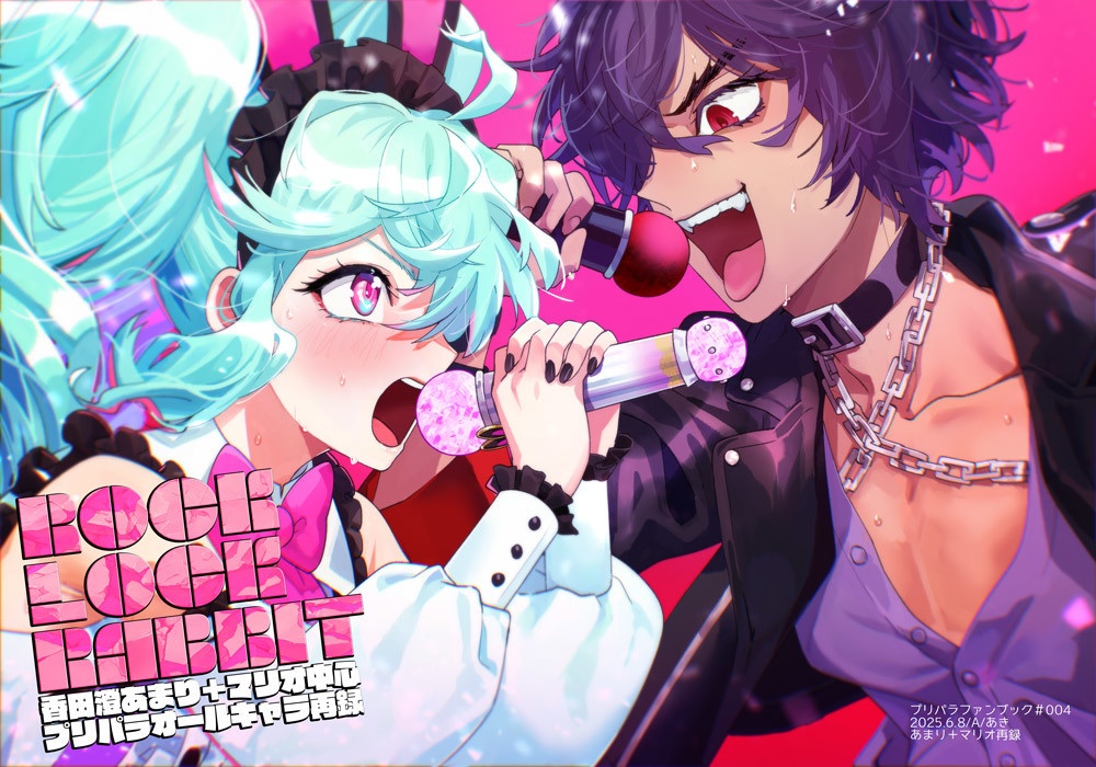 ROCK LOCK RABBIT