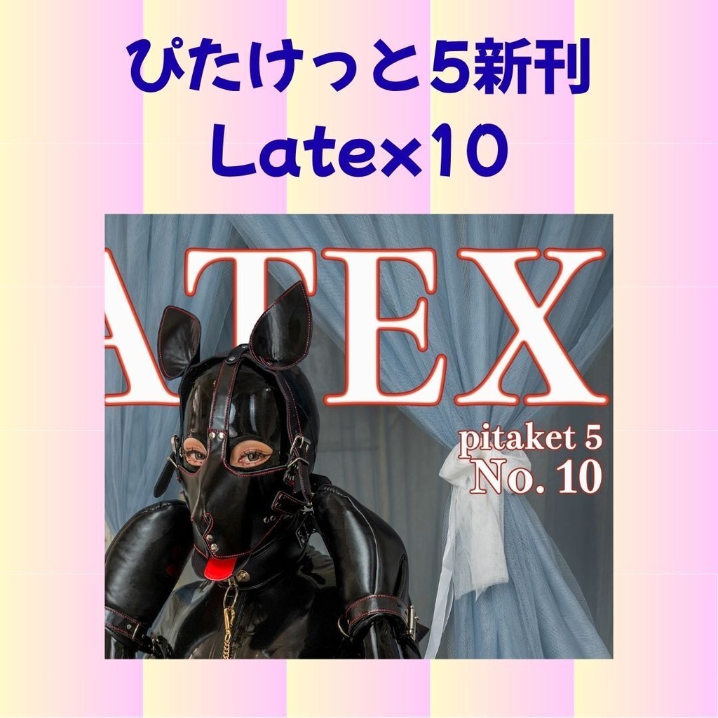 ぴたけっと5 Latex10