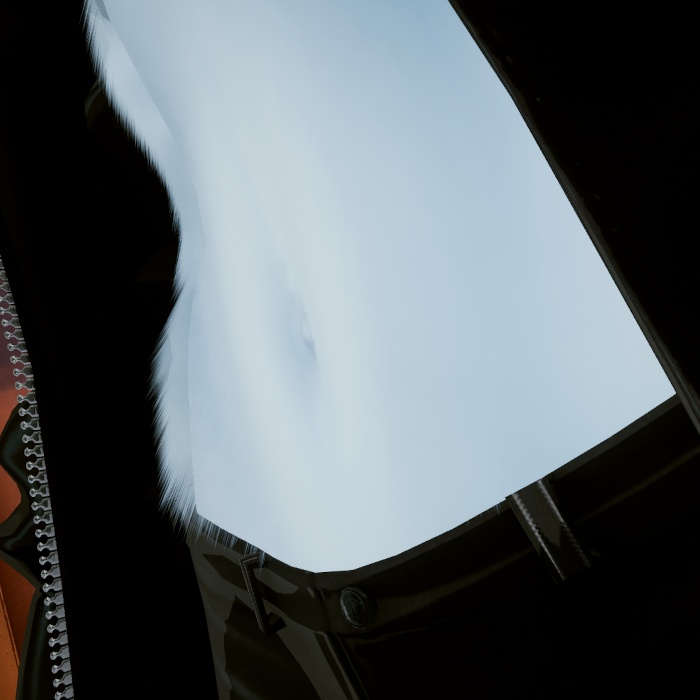 【無料!アイラ(Eira)さん専用】liltoonファーシェーダー設定ファイル