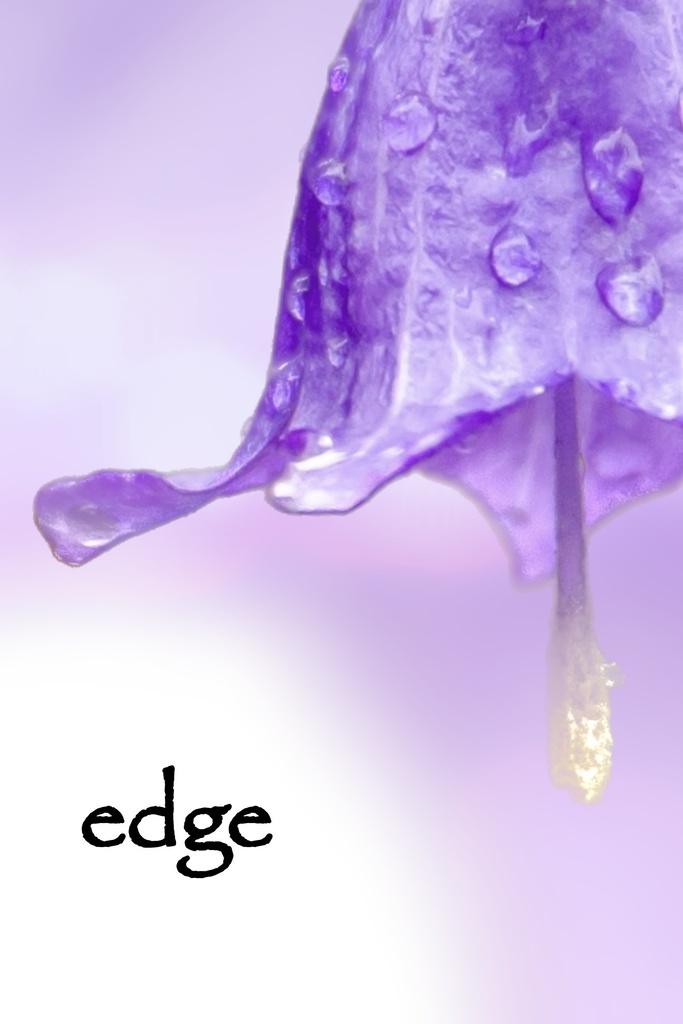 【匿名配送】edge