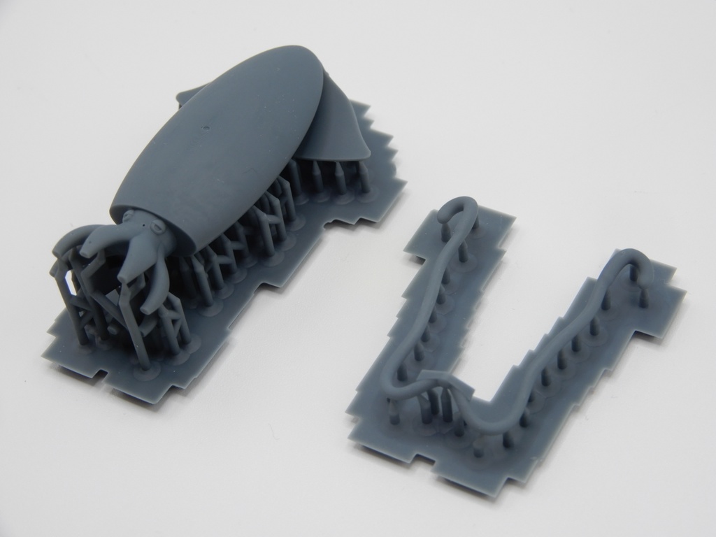 YGO-010A 「せんむのいか」