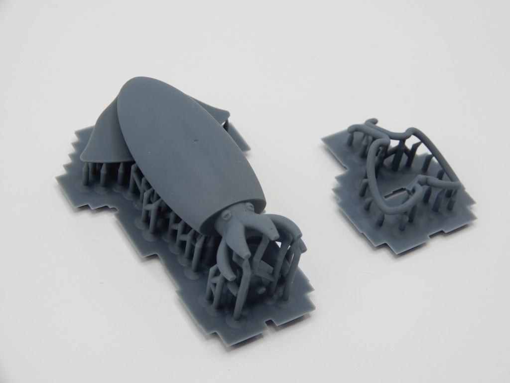 YGO-010B 「せんむのいか Ver.Sha(謝)」