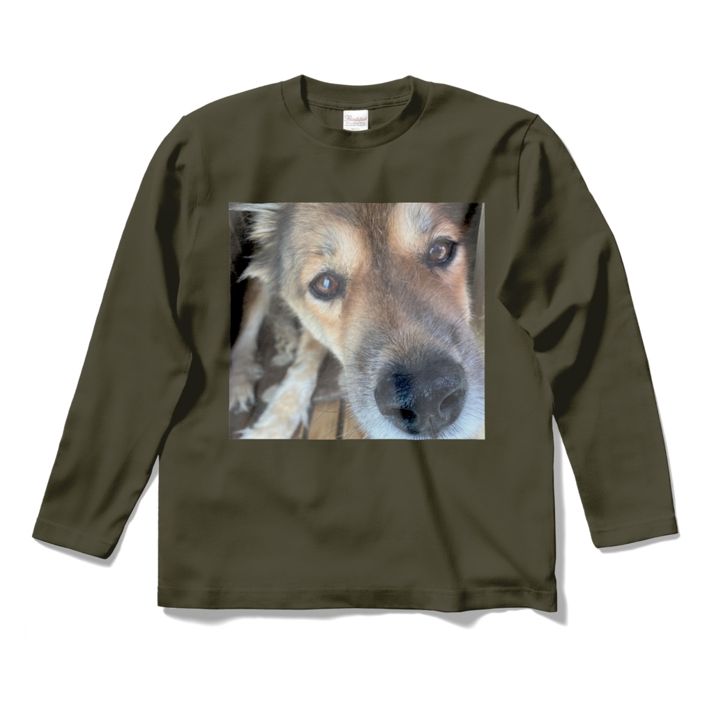 Tシャツ