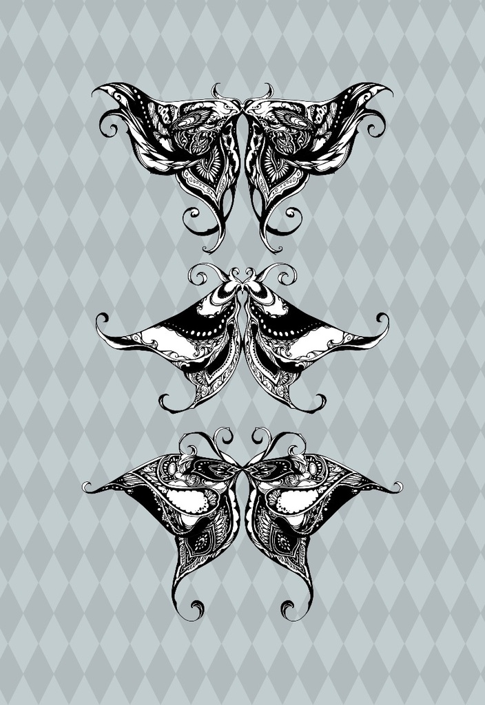 手描き飾り枠『蛾』