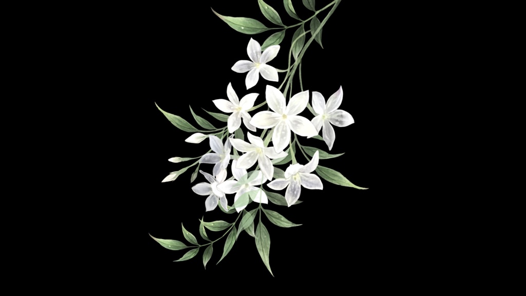 【Live2D Accessories】White Flowers